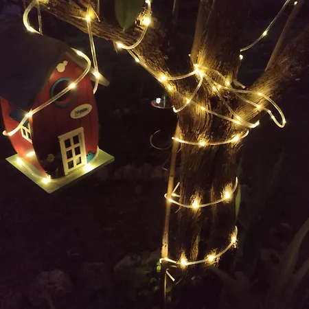 Legado De San Ignacio